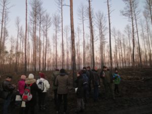 Teilnehmer*innen der Trainingswoche besichtigen abgebrannte Waldflächen, Treuenbrietzen, © A.-Dichte